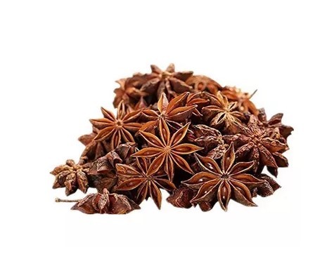 Star Flower (Star  mosolla)