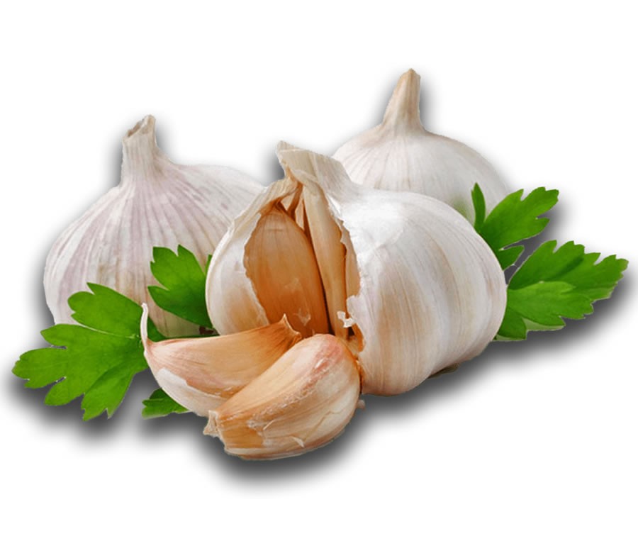 Garlic (Roshun Imported)