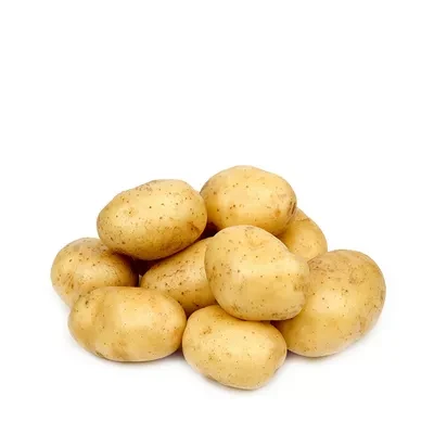 Potato Regular