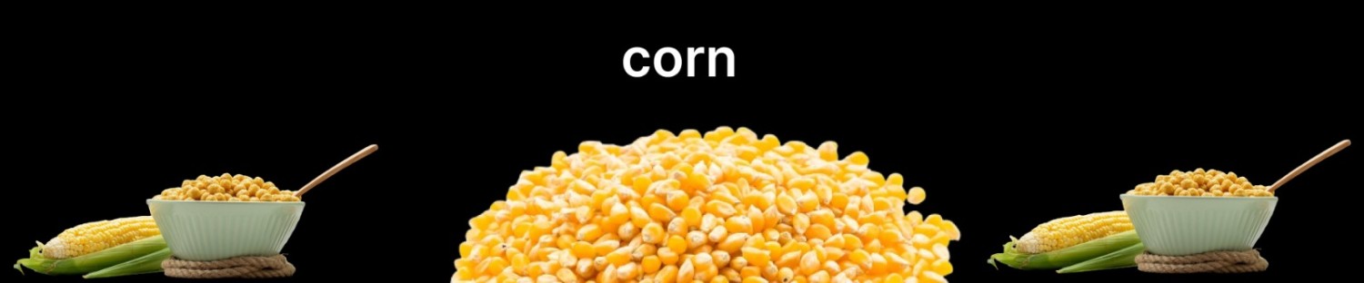 corn