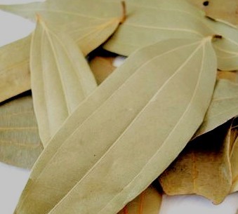 Bay Leaf (Tejpata)