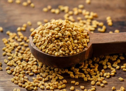 Fenugreek (Methi) Seed