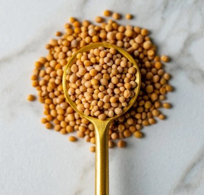 Mustard Seed (Yellow)